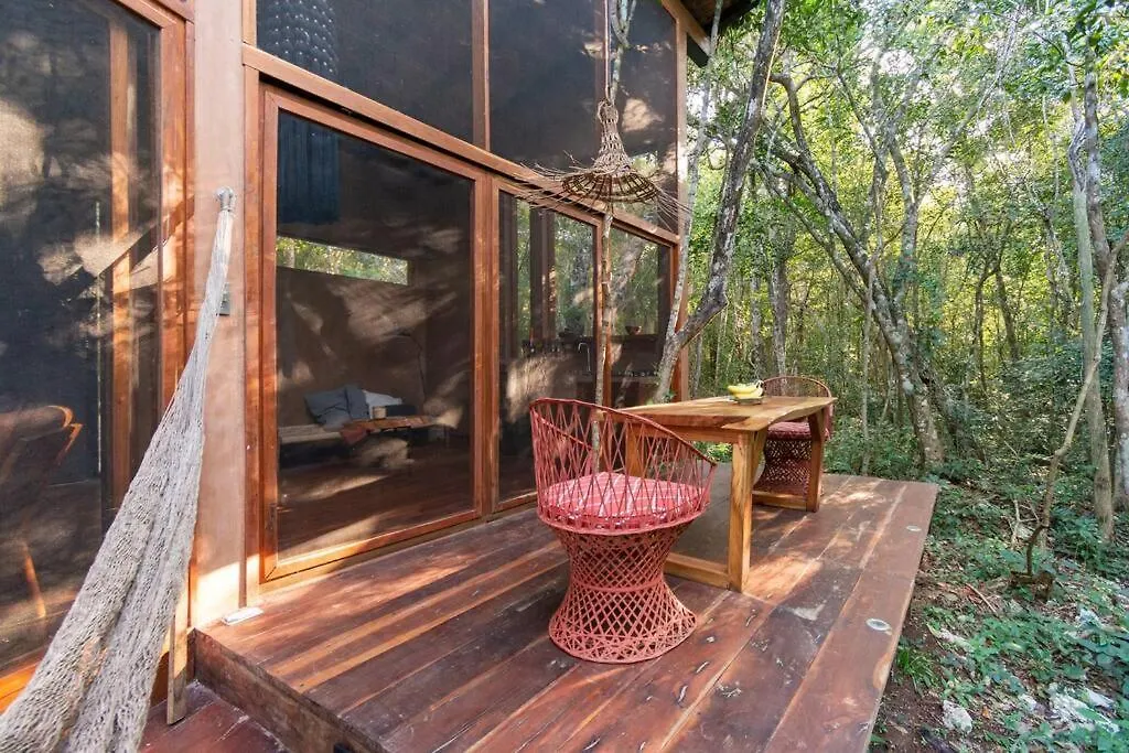 Ojo De Agua. Design+Pool. Vive La Autentica Selva! Tulum Mexico