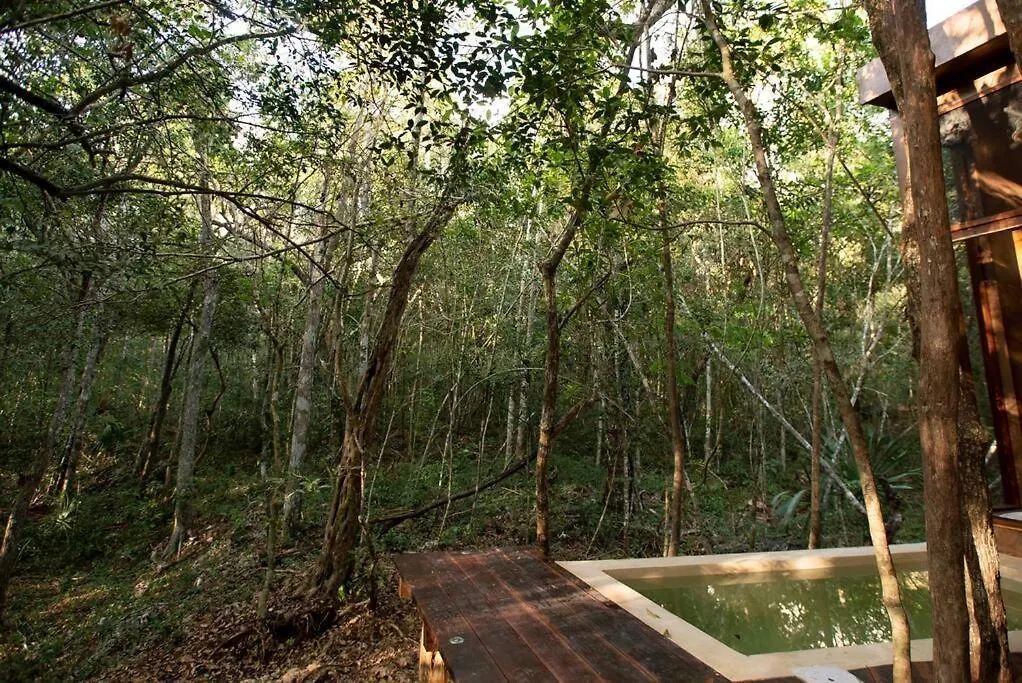 Holiday home Ojo De Agua. Design+Pool. Vive La Autentica Selva! Tulum