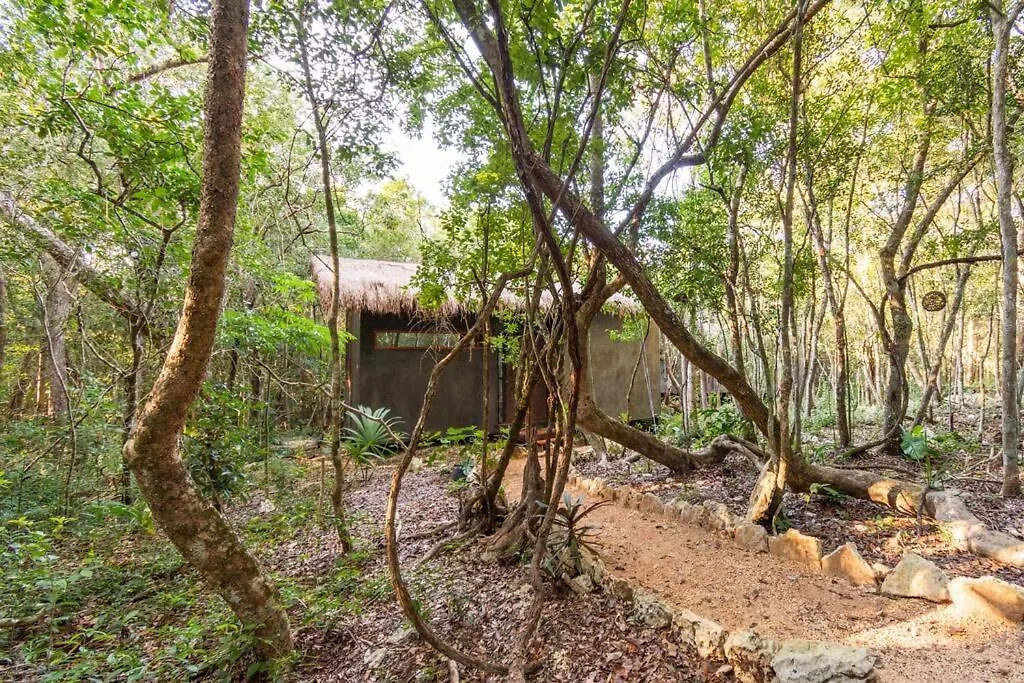 Ojo De Agua. Design+Pool. Vive La Autentica Selva! Tulum 0*,  Mexico