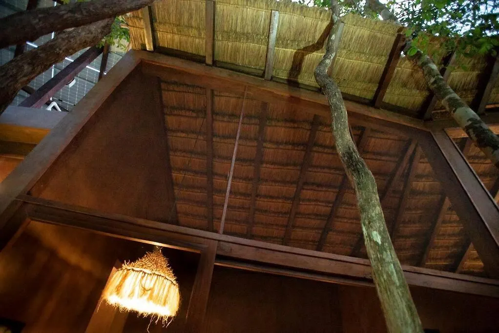 Holiday home Ojo De Agua. Design+Pool. Vive La Autentica Selva! Tulum Mexico