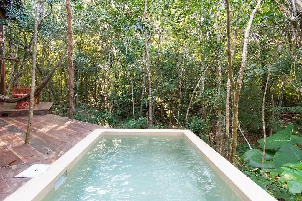 Ojo De Agua. Design+Pool. Vive La Autentica Selva! Tulum