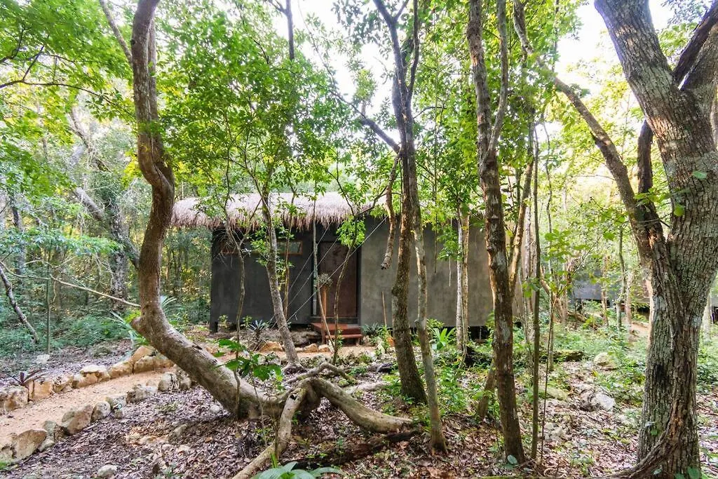 Ojo De Agua. Design+Pool. Vive La Autentica Selva! Tulum