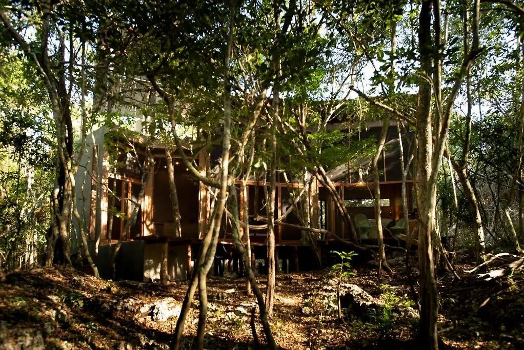 Ojo De Agua. Design+Pool. Vive La Autentica Selva! Tulum 0*,