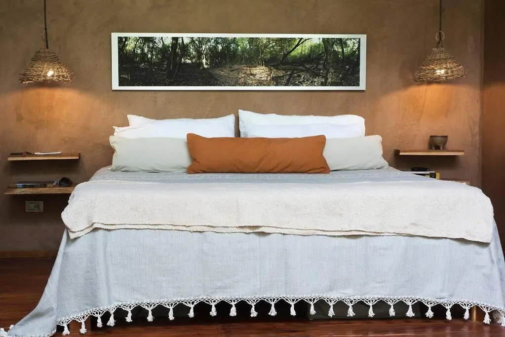 Ojo De Agua. Design+Pool. Vive La Autentica Selva! Tulum 0*,  Mexico