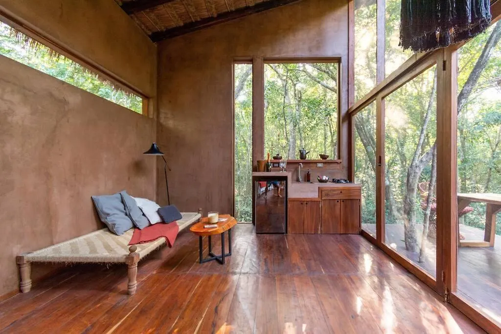 Ojo De Agua. Design+Pool. Vive La Autentica Selva! Tulum 0*,  Mexico