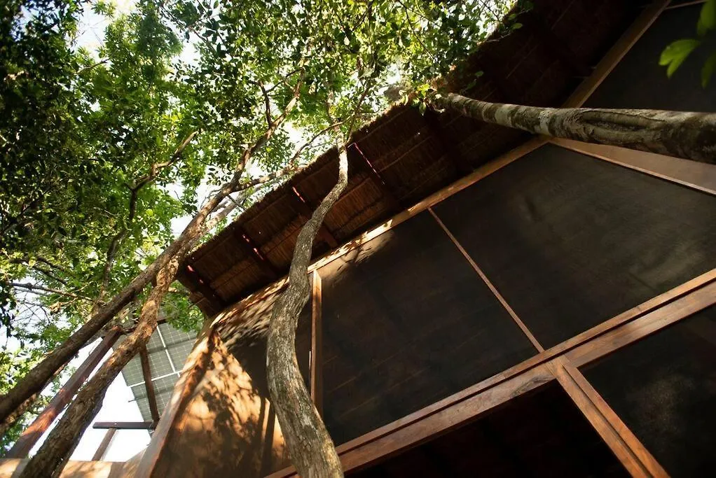 Ojo De Agua. Design+Pool. Vive La Autentica Selva! Tulum Holiday home