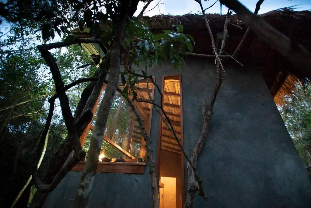 Ojo De Agua. Design+Pool. Vive La Autentica Selva! Tulum