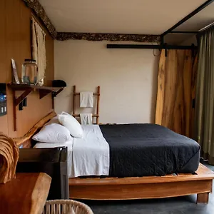 Hotel Bufo Alvarius, Tulum