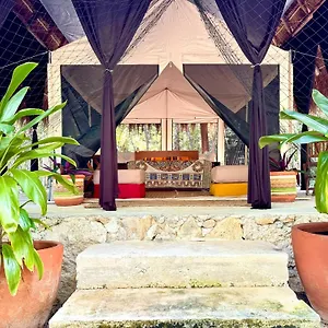  Camping Glamping Bunga Lotus