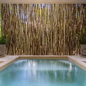  Holiday home Casa Cenote Private Pool Gated