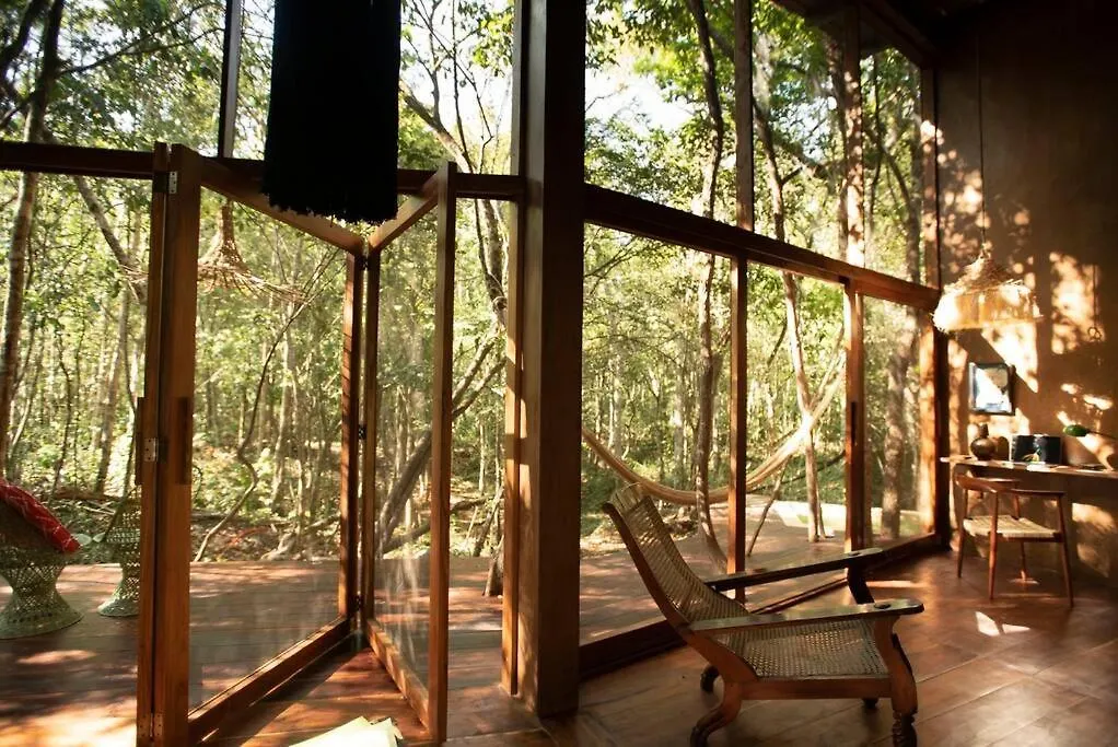 Ojo De Agua. Design+Pool. Vive La Autentica Selva! Tulum