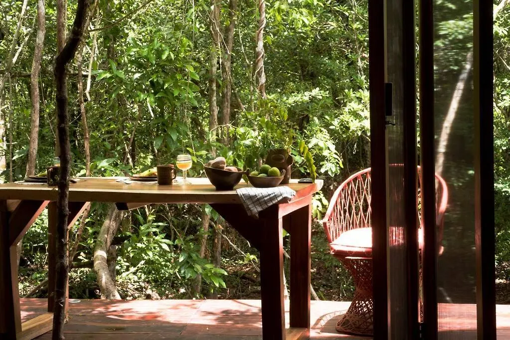 Prázdninový dům Ojo De Agua. Design+Pool. Vive La Autentica Selva! Tulum