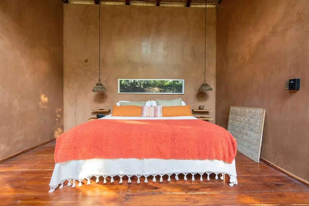 Ojo De Agua. Design+Pool. Vive La Autentica Selva! Tulum Mexiko